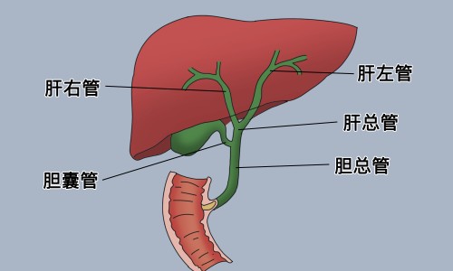 胳膊窝容易出汗衣服湿-胳膊窝突然容易出汗怎么回事专区_胳膊窝出汗怎么办专区_胳膊窝突然容易出汗网
